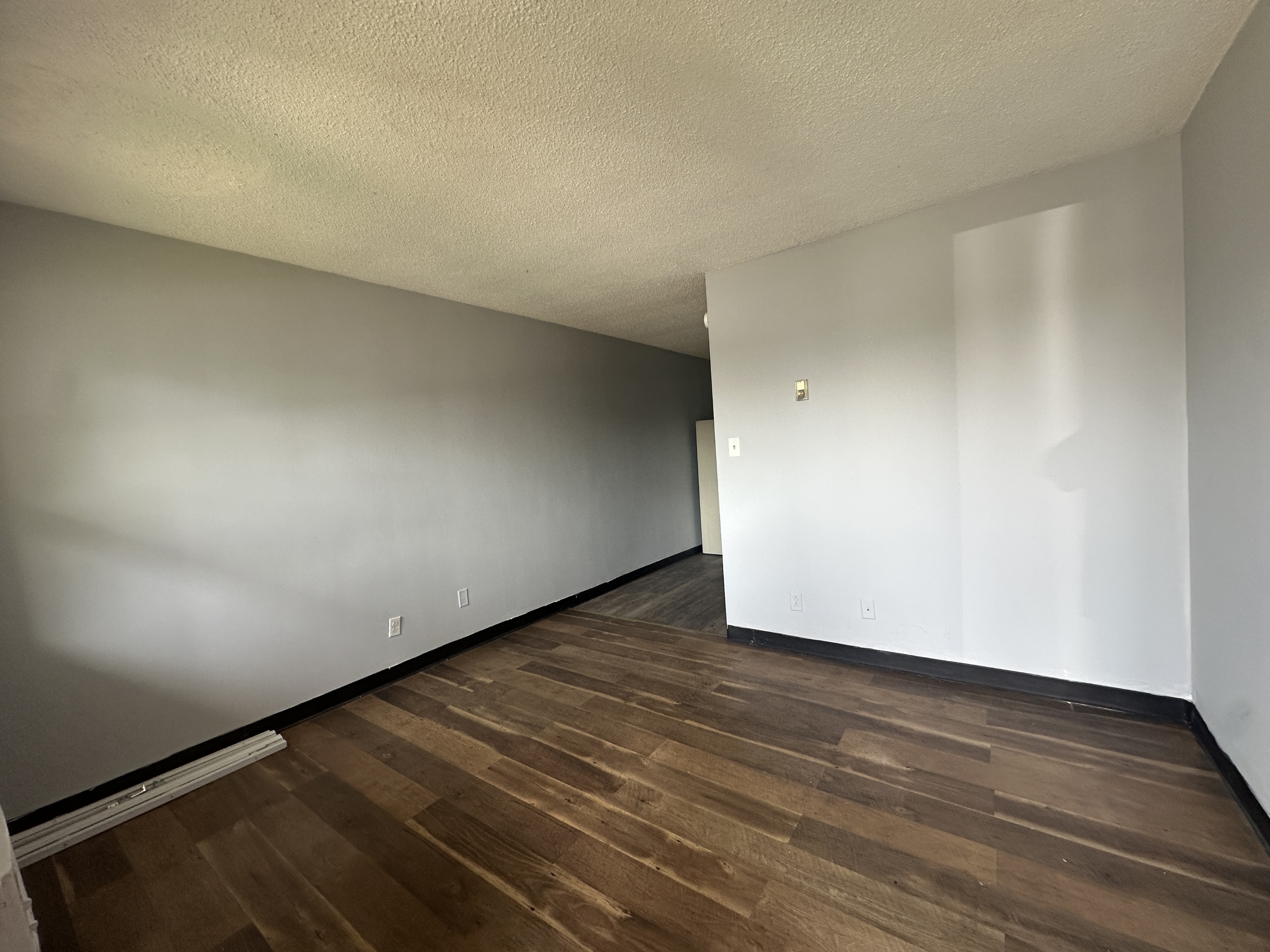 1121 Hutton Street - 2